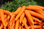 Морковь Оптом в г. Талдыкорган