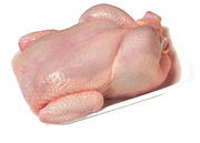 Реализую Мясо курицы оптовые поставки